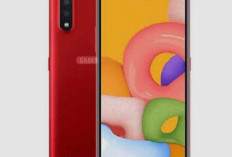 Samsung Galaxy A01: Smartphone Canggih Harga Terjangkau, Berikut Keungulannya
