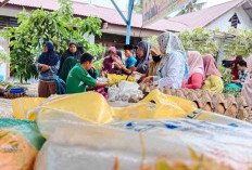 MENGEJUTKAN! Ribuan Penerima Bansos di Bengkulu Selatan Dicoret, Benarkah Tak Penuhi Kreteria?