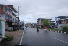 Pengusaha Tak Mau Jujur, Pajak Sarang Walet di Bengkulu Selatan Hanya Rp3 Juta, Bapenda Ungkap Kendalanya