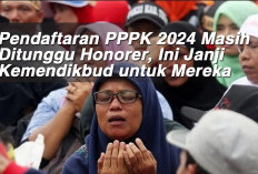 Pendaftaran PPPK 2024 Masih Ditunggu Honorer, Ini Janji Kemendikbud