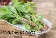 Konsumsi Sayuran Krokot Cegah Pengeroposan Tulang, Usia Segini Bagus Mengkonsumsinya