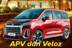 All New Suzuki APV 2024 dan Avanza Veloz, Mana yang Lebih Laris?