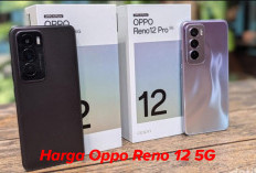 Segini Harga Oppo Reno 12 5G Per Oktober 2025, Tanpa Harus Keluarkan Biaya Tinggi!