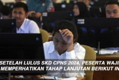 Setelah Lulus SKD CPNS 2024, Peserta Wajib Memperhatikan Tahap Lanjutan Berikut Ini 