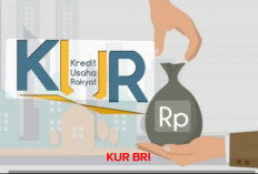 KUR BRI Tawarkan Modal Rp 100 Juta, Segini Simulasi Angsurannya 