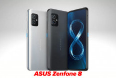 Mengupas Tuntas Harga ASUS Zenfone 8: Investasi Gadget Masa Kini