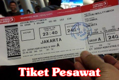 Biang Kerok Mahalnya Tiket Pesawat Domestik Terbongkar, Luhut Binsar Pandjaitan Berkicau