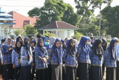 BERSIAP! BKPSDM Bengkulu Selatan Memastikan Sebanyak 72 PPPK Tahap II Dilantik Bulan Ini