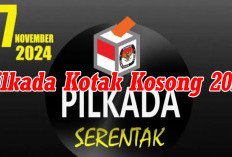 Kotak Kosong Menang, Berikut Jadwal Pilkada Ulang