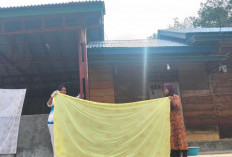  Pembuatan Batik Gurita Trijaya Semakin   Canggih, Begini Cara Terbarunya!