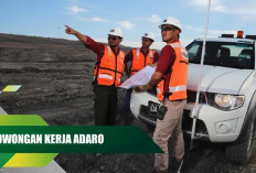 Adaro Group Buka Lowongan Kerja Sampai Akhir Mei 2026, Simak Rincian Posisi yang Dibutuhkan
