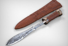 Senjata Duhung Suku Dayak Lahirkan Senjata Tajam, Pemikiran yang Sangat Pintar