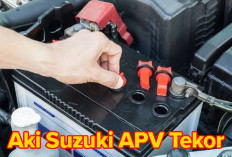 Anda Perlu Tau, Penyebab Aki Suzuki APV Cepat Tekor dan Tips Perawatannya