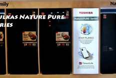 Kulkas Toshiba Nature Pure Series Terbaru 2025, Perkenalkan Teknologi Terbaru  