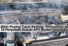 Bikin Pusing Tujuh Keliling, Ternyata Ini 10 Penyebab Suzuki APV Brebet saat Digas