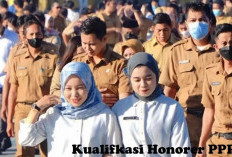 Gagal Mendaftar PPPK 2024, Jika Honorer Tidak Memenuhi Kualifkasi Ini!