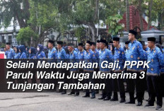 Selain Mendapatkan Gaji, PPPK Paruh Waktu Juga Menerima 3 Tunjangan Tambahan