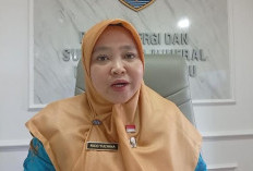 WAW! Hampir 50 Persen IUP Tambang di Bengkulu   Habis 2026, Cek di Sini Penjelasan ESDM