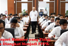 INFORMASI PENTING! Inilah Kategori Honorer yang Tidak Bisa Diangkat Menjadi PPPK 2024