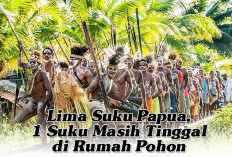 Lima Suku Papua, 1 Suku Masih Tinggal di Rumah Pohon 