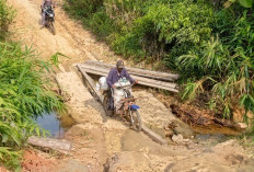 Puluhan Tahun Menunggu, Jalan Sentral Pertanian Kedurang Kini Terancam Putus dan Ancam Nasib Ribuan Petani