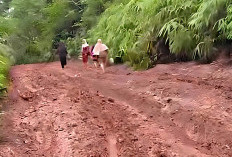 Petani Taruh Harapan Besar Kepada Bupati-Wabup Terpilih, Ganti Aspal Merah Jadi Aspal Hitam