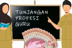 Perhatikan Syarat Ini, Agar Guru ASN Bisa Mendapatkan Tunjangan Profesi