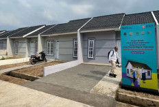 Pembeli Rumah Subsidi Bagi PMI di Luar Negeri Tahun 2026, Cek di Sini Gaji Maksimalnya