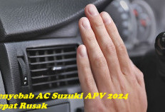 AC Suzuki APV 2024 Cepat Rusak, Cari Tau Penyebabnya di Sini!