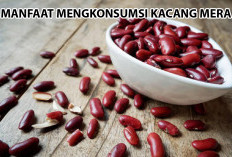 7 Manfaat Mengonsumsi Kacang Merah,  Berikut Ini Penjelasan Lengkapnya