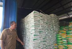 Bank Tanah Bakal Kelola Ribuan Hektare Lahan Eks HGU dan Tanah Terlantar di Bengkulu