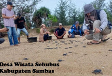 Desa Wisata Sebubus Sambas, Ini yang Bisa Dinikmati dan Dipelajari