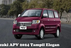 KEREN HABISS! Perubahan Signifikan, Suzuki APV 2024 Tampil Elegan di Jalanan