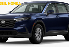 Inilah Deretan Mobil Honda untuk Perempuan, 2 SUV Favorit Termasuk Loh! 