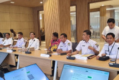 Pengembangan RSUD Kaur, Bupati Gusril Temui Menkes RI