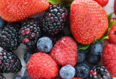 Catat! Ini Dia Deretan Superfood Juara Untuk Kecantikan Kulit, Wajib Dikonsumsi Ya