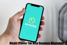 MENGEJUTKAN! Sejumlah Model iPhone Tak Bisa Gunakan WhatsApp, Ternyata Ini Alasannya
