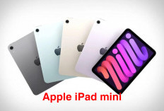 Apple iPad Mini Tablet 8 Inci: Kelebihan dan Kekurangan