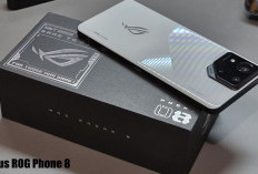 Dilema antara Asus ROG Phone 8 dan iQOO 12, Yuk Kenali Perbandingan Keduanya di Sini!