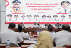 Pajak Kendaraan Bengkulu Dapat Diskon 50 Persen, Kabupaten/Kota Diminta Aktif