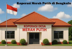 Koperasi Merah Putih Dua Desa di Bengkulu Ini Jadi Percontohan, Yuk Cek Lokasinya!