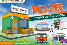 KUR Kecil Bank Bengkulu Plafon Hingga Rp 500 Juta, Berikut Skemanya