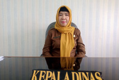Tak Digelar Tahun 2025, Festival Gurita Akan Meriahkan HUT Kaur 2026