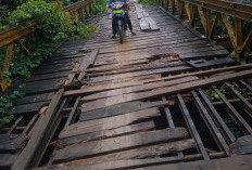 Lantai Jembatan Tinggi Akses SDN 72 Kaur Jebol, Ancam Keselamatan Pelajar