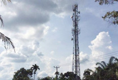 Blank Spot di Mukomuko, Pemprov Bengkulu Dorong Kominfo Tambah Jaringan