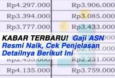 KABAR TERBARU!  Gaji ASN Resmi Naik, Cek Penjelasan Detailnya Berikut Ini 