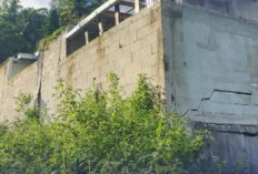 Awas! Tanah Terlantar Berpotensi Diambil Alih Oleh Negara, Ini Aturan dan Kriterianya