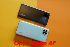 Stylis dan Canggih! Inilah Alasan Oppo Reno 4F Masih Layak Dibeli