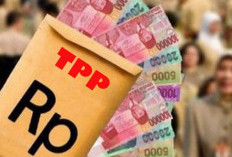 TPP Kaur Naik Dua Kali Lipat, Bagaimana Nasib PPPK?