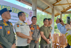 Perdana Satpol PP Lelang Ternak Hasilkan Rp 35 Juta, Total PAD Rp 108 Juta